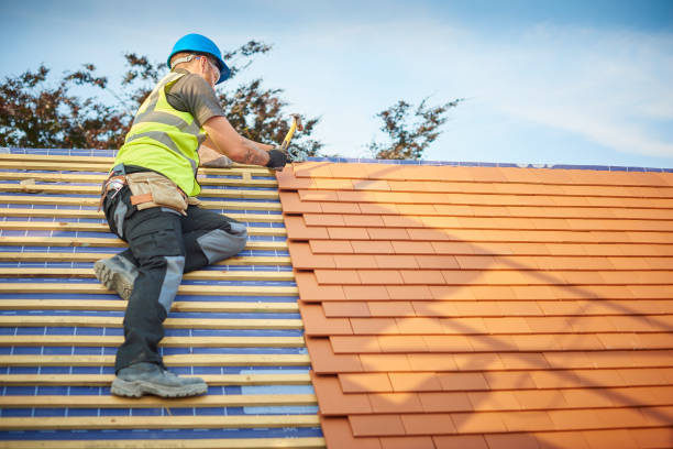 Best Skylight Installation and Repair  in Northeast Ithaca, NY